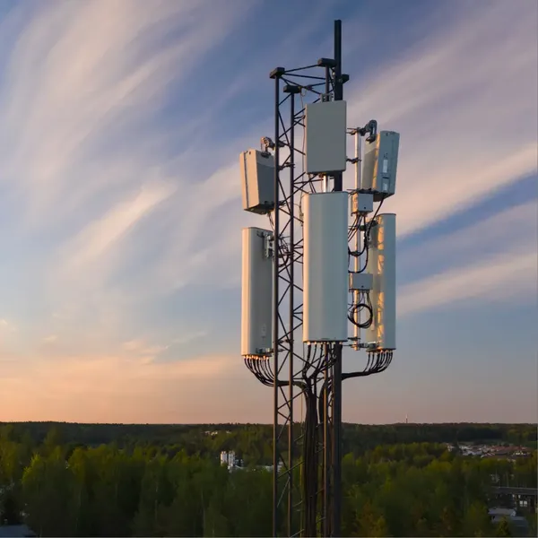 DNA case study photo 1